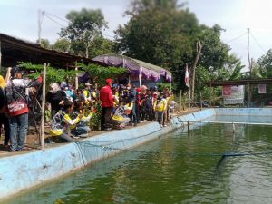 Strike Hunter Pemancingan Dongeng Jenangan