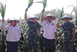 Kang Giri Bupati Ponorogo Panen Raya Jagung dan Petik Bunga Varietas Reog 234