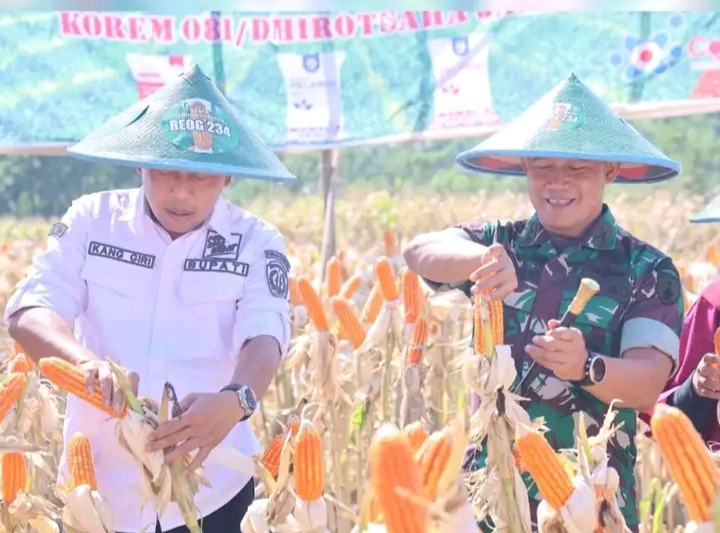 Bupati Kang Giri Kodim 0802 Ponorogo Panen Raya