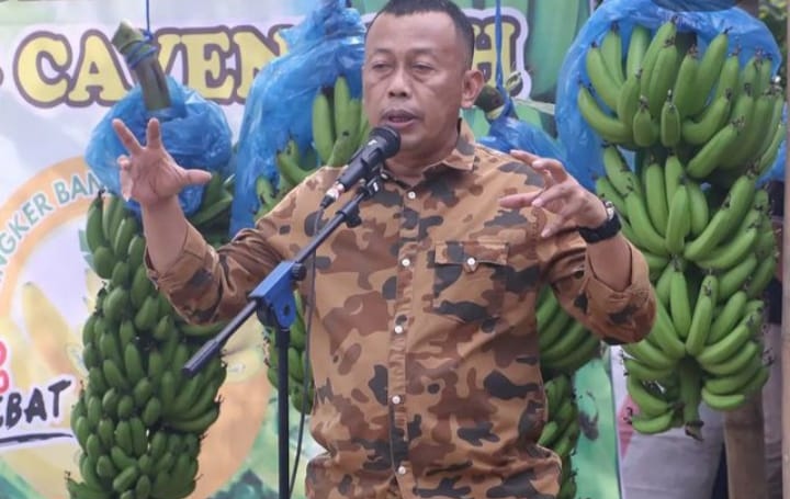 Panen Pisang Cavendish, Kang Giri Tekankan Keseimbangan Barang dan Pasar