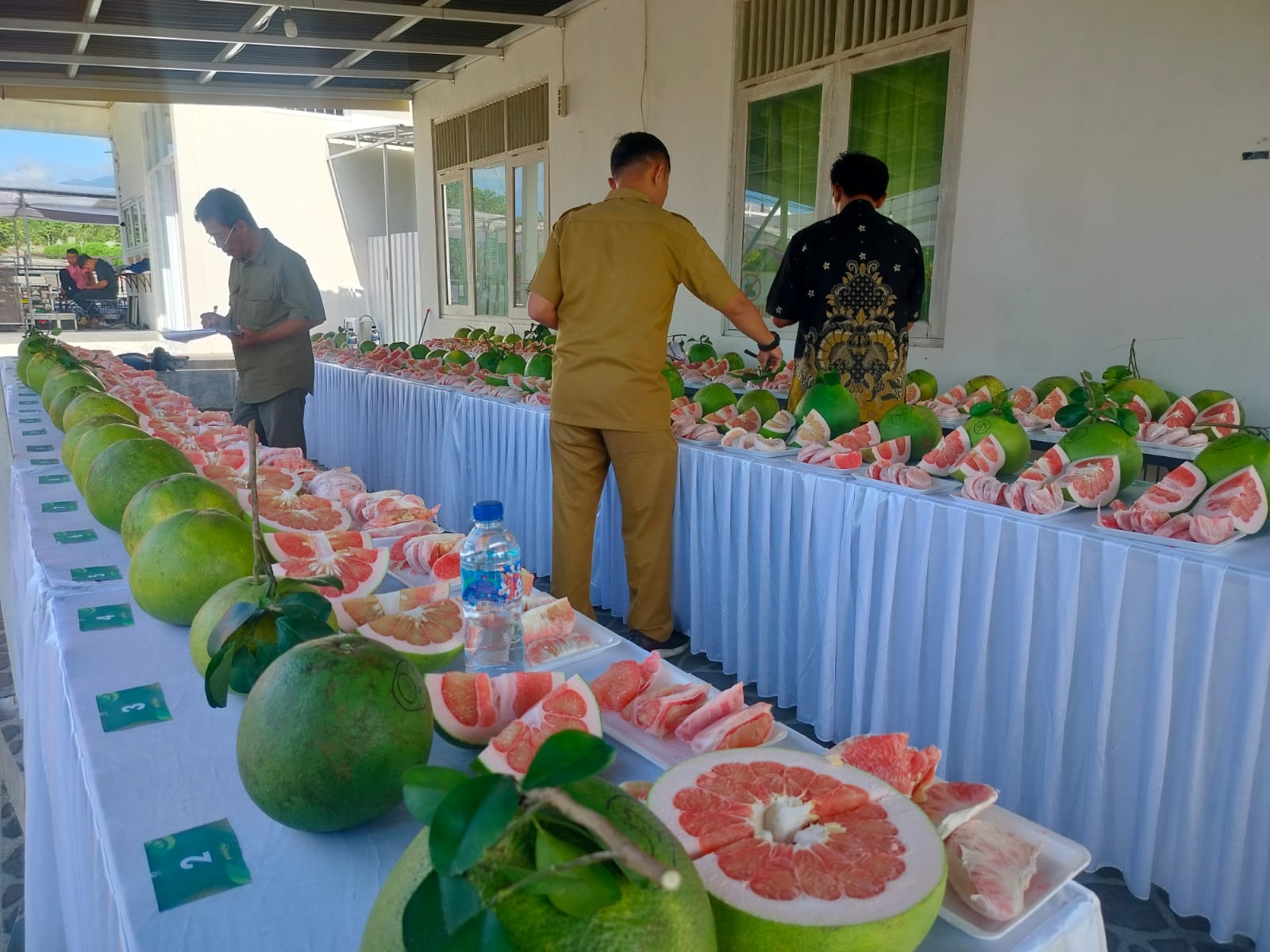 Festival Pamelo, Wujud Perhargaan Dinas Kabupaten Magetan Kepada Petani