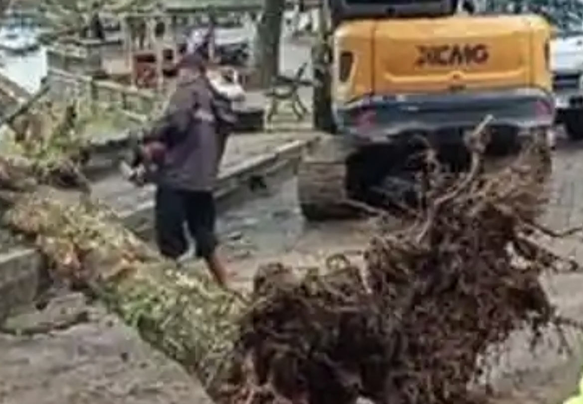 BPBD Magetan Gercep Atasi Pohon Tumbang di Telaga Sarangan