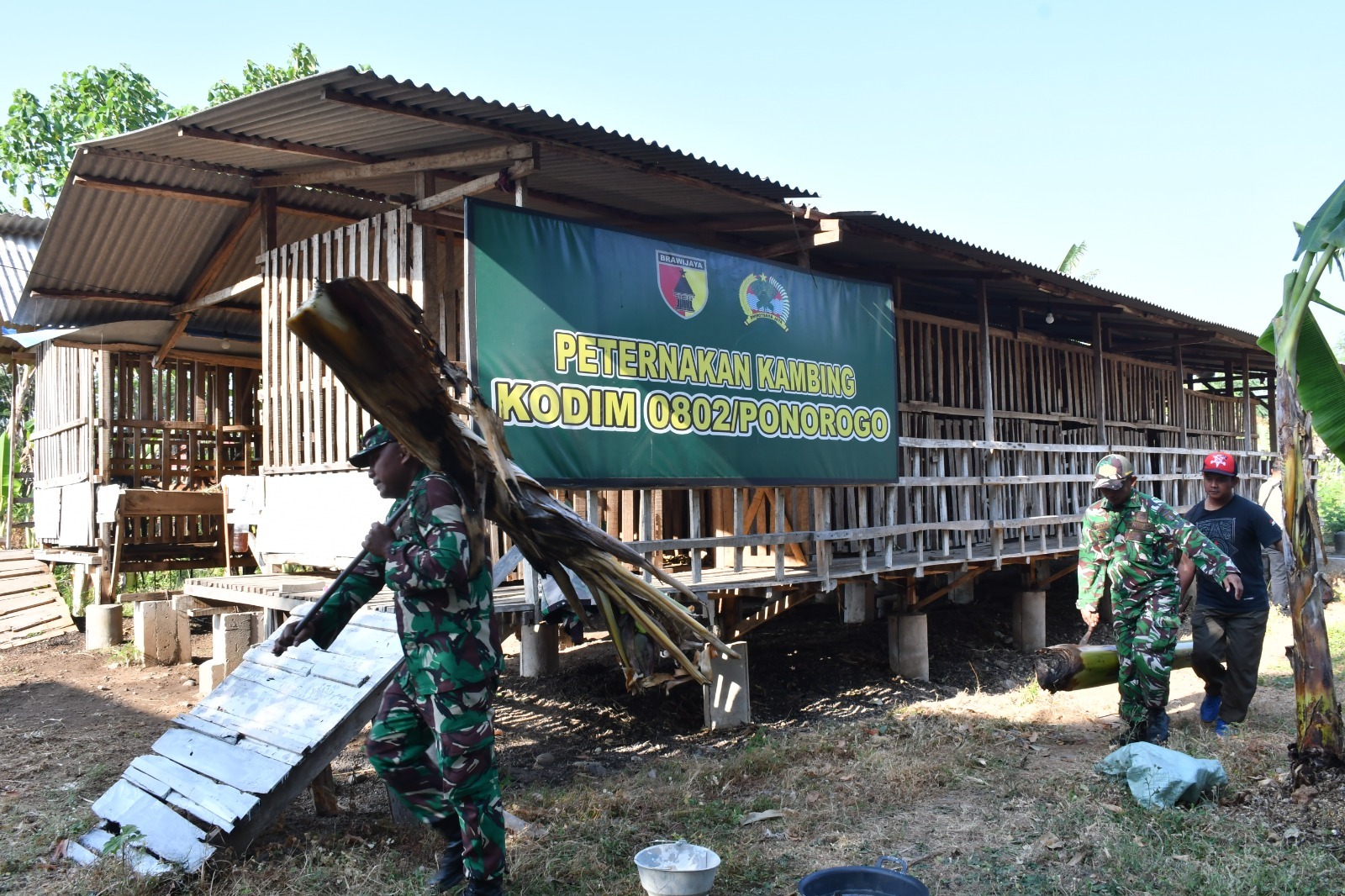 Bukan Sekadar Bertani, Kompi Produksi Kodim Ponorogo Jadi Kekuatan Baru Ketahanan Pangan