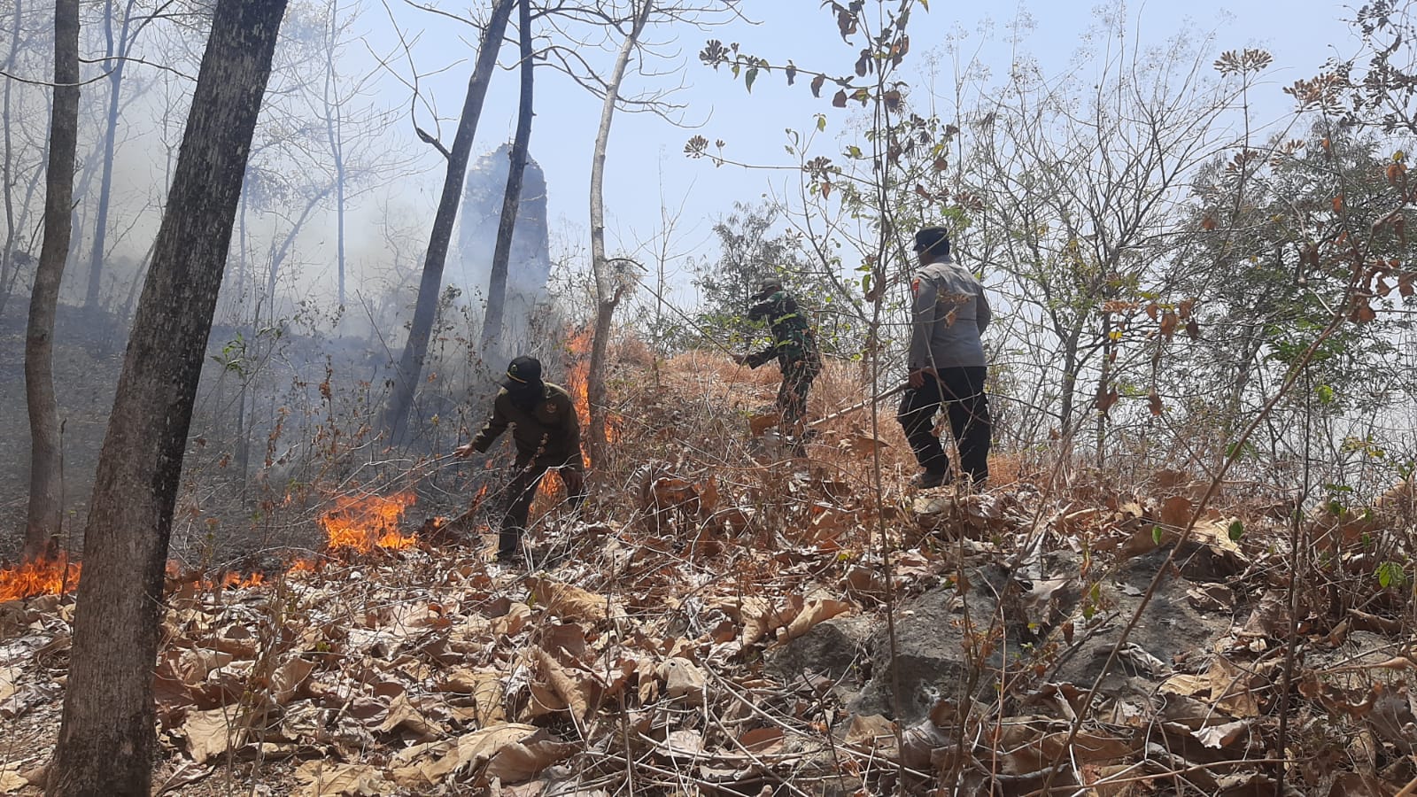 Karhutla di Hutan Sampung Berhasil Dipadamkan, Babinsa Bersama Warga Bergerak Cepat