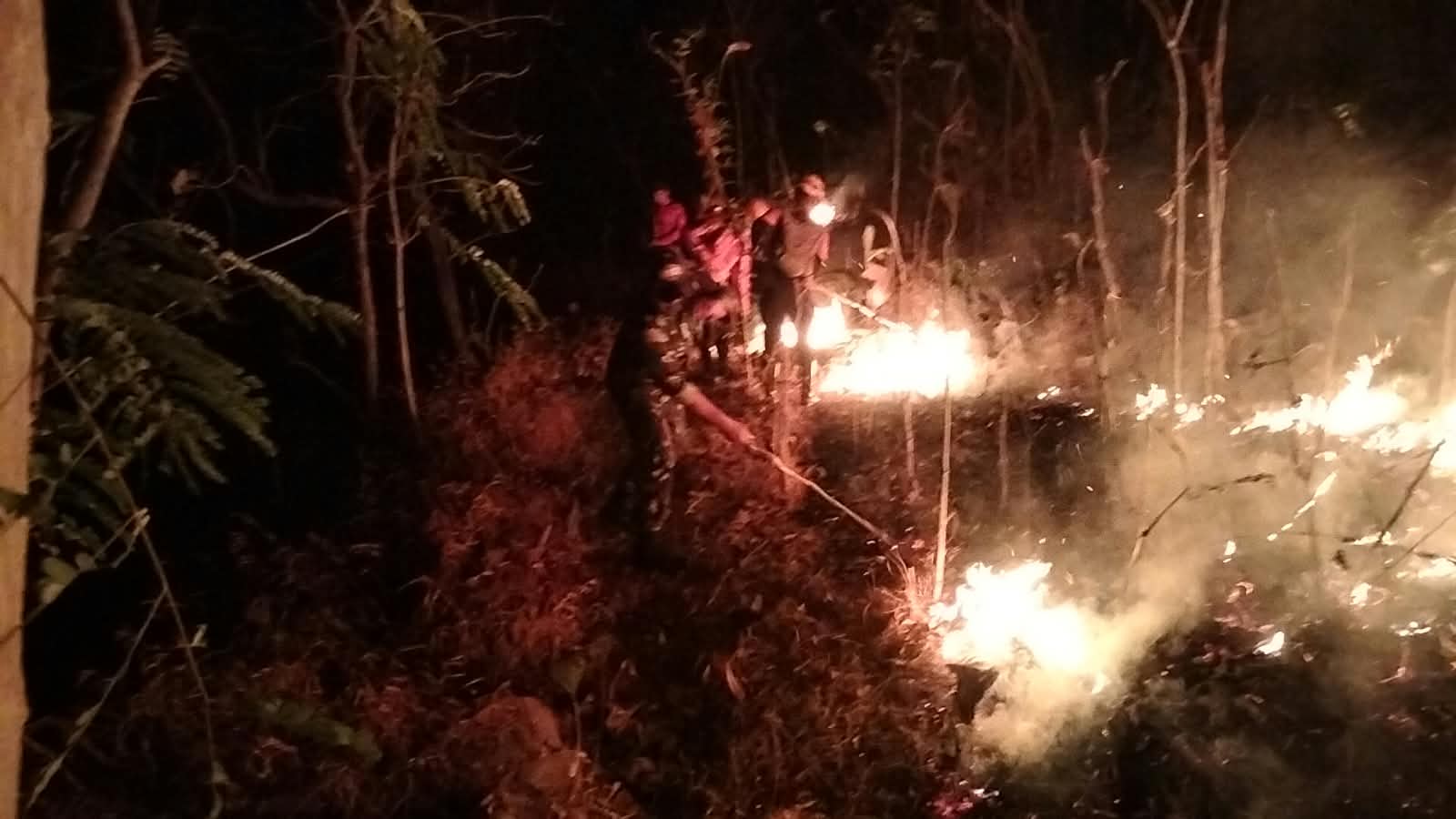 Kobaran Api Kepung Gunung Gede, TNI-BPBD-Perhutani dan Warga Turun Tangan